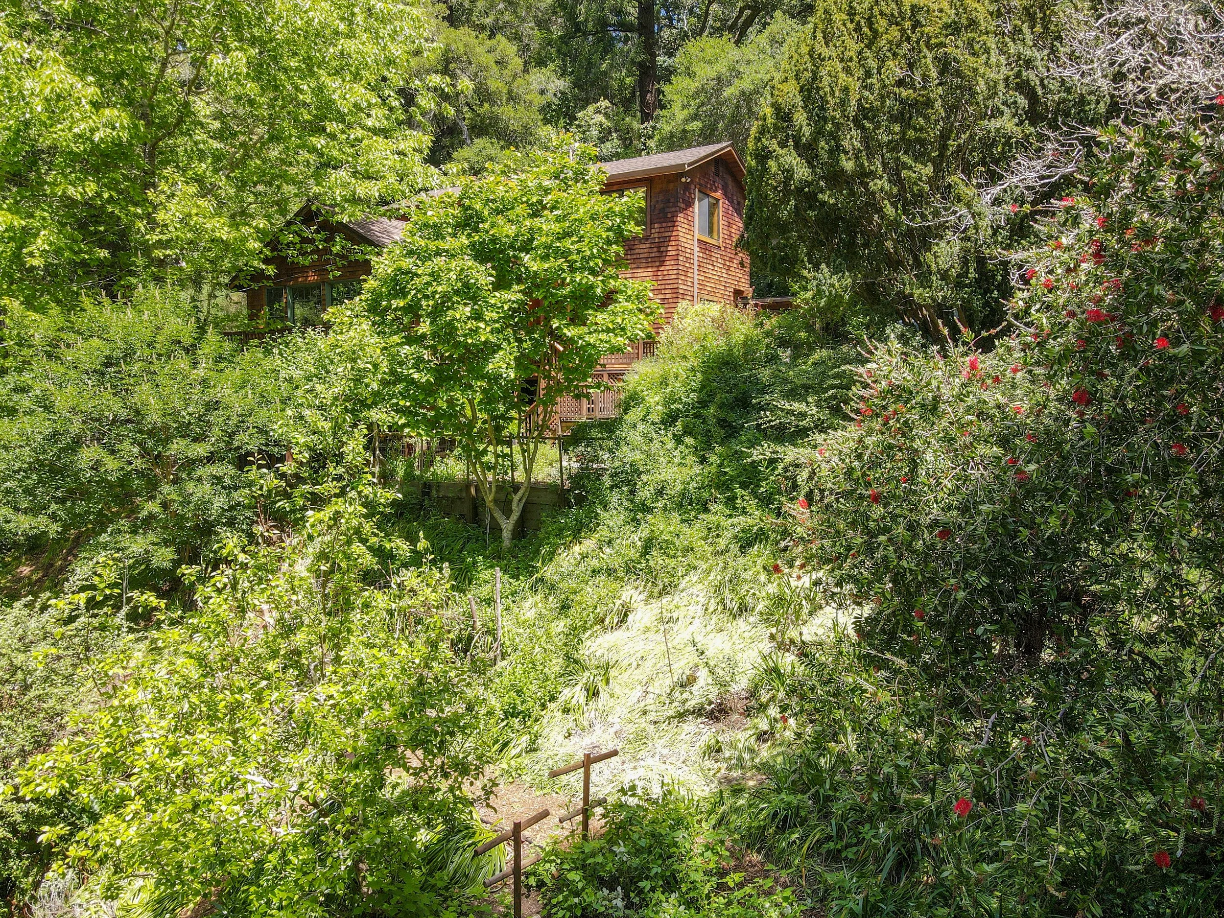 169 Resaca Ave, Forest Knolls For Sale by Michael Milano | Own Marin | Marin County Top Realtors | Marin County's #1 Real Estate Team54.JPG