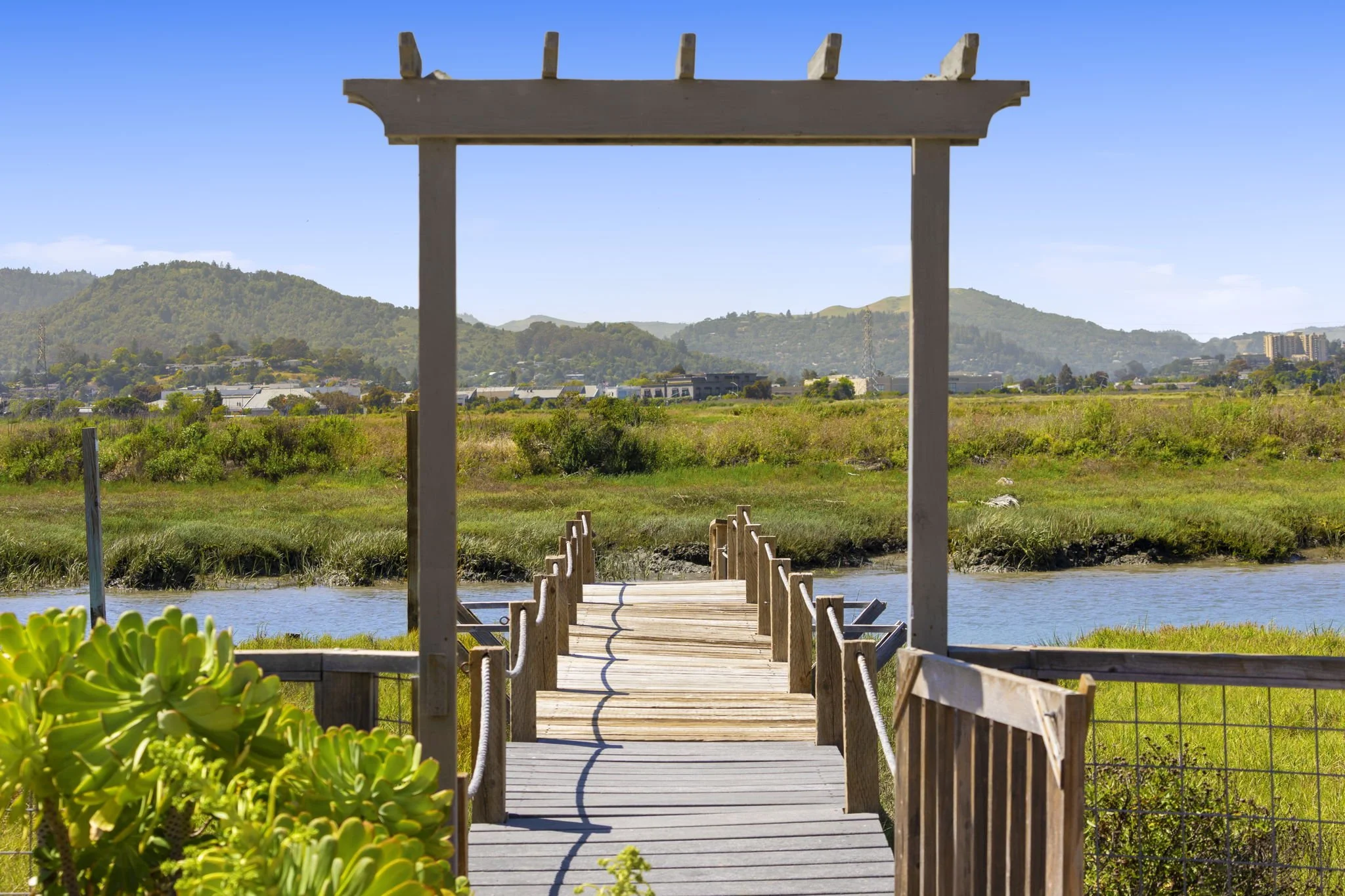 191 Golden Hind Psge, Corte Madera For Sale by Miles Daly | Own Marin | Marin County Top Realtors | Marin County's #1 Real Estate Team61.jpg