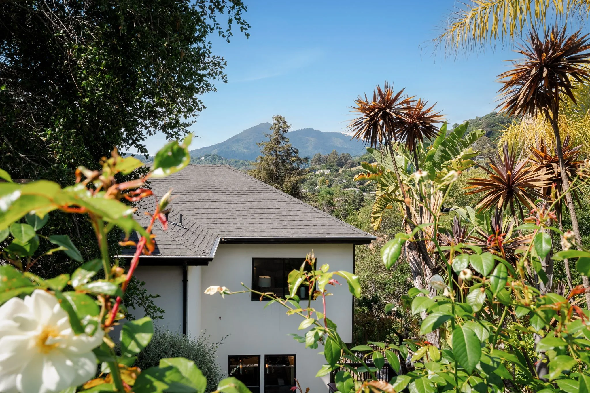 21 Newhall Dr, San Rafael For Sale by Whitney Potter | Own Marin | Marin County Top Realtors | Marin County's #1 Real Estate Team54.jpg