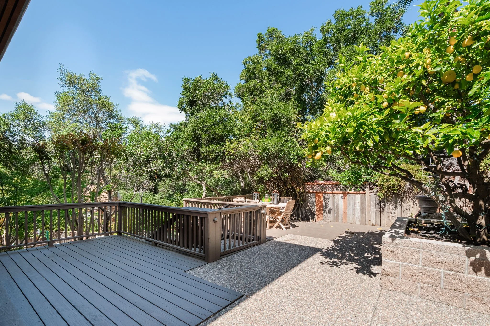 21 Newhall Dr, San Rafael For Sale by Whitney Potter | Own Marin | Marin County Top Realtors | Marin County's #1 Real Estate Team59.jpg