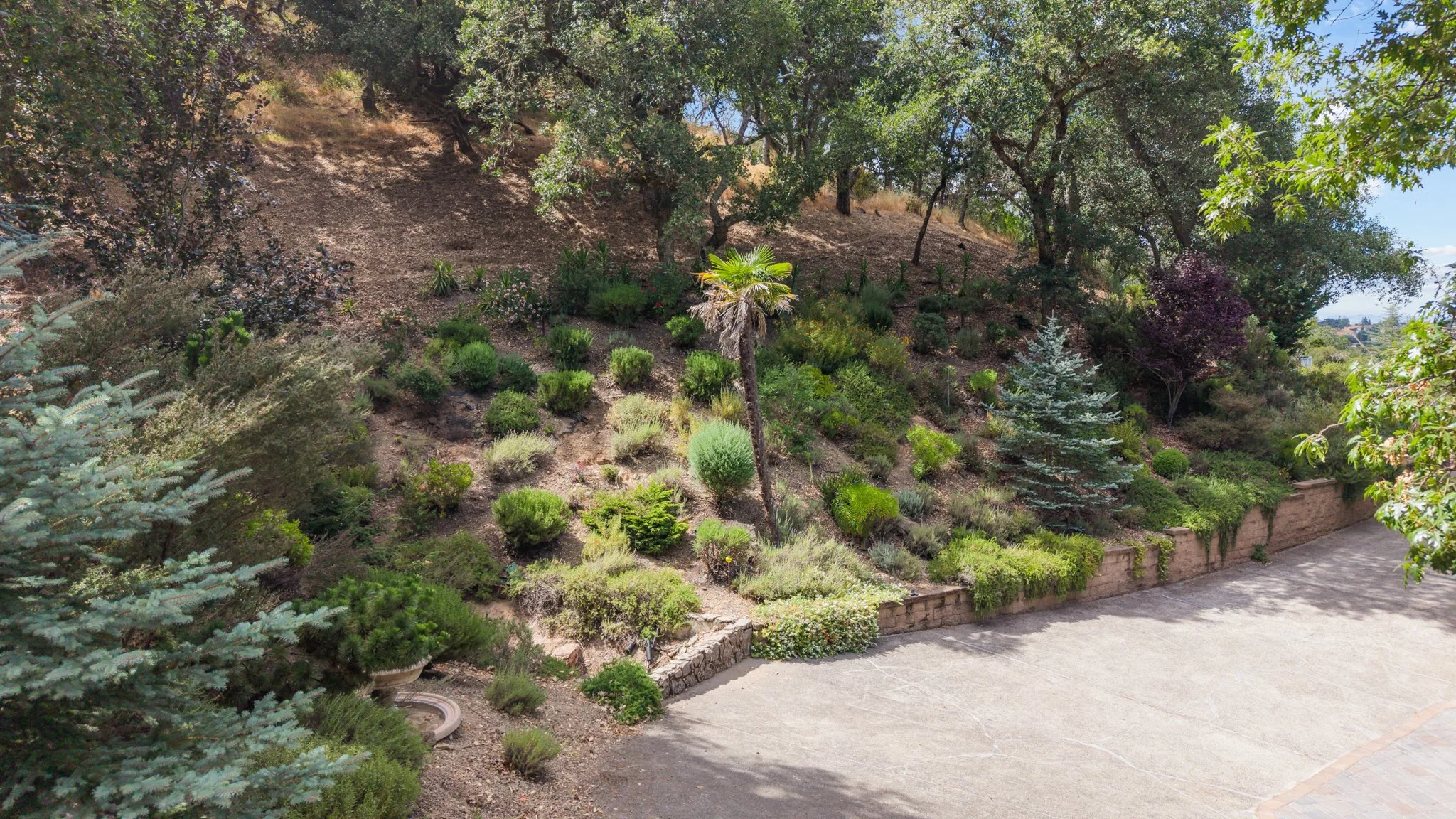 37 Carnoustie Drive, Novato For Sale by Michael Milano | Own Marin | Marin County Top Realtors | Marin County's #1 Real Estate Team75.jpg