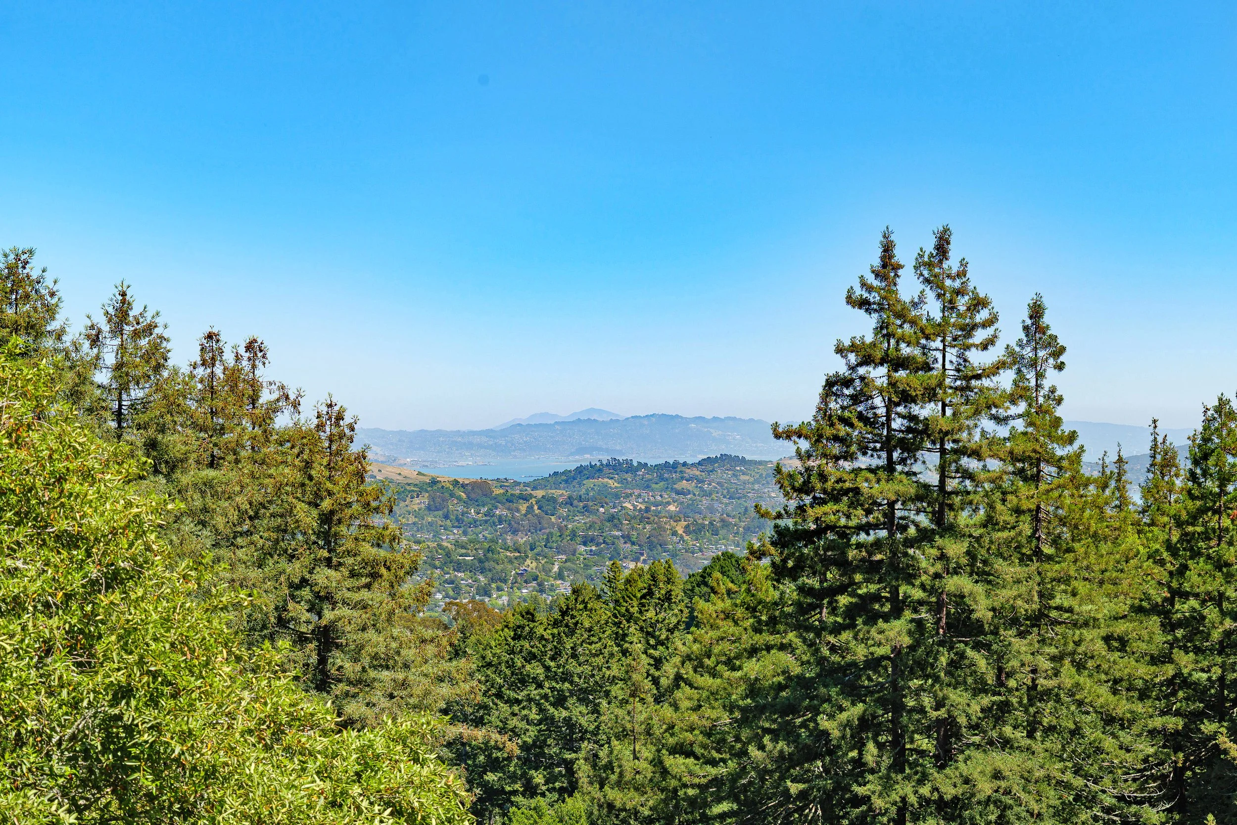 665 Edgewood-24.jpg