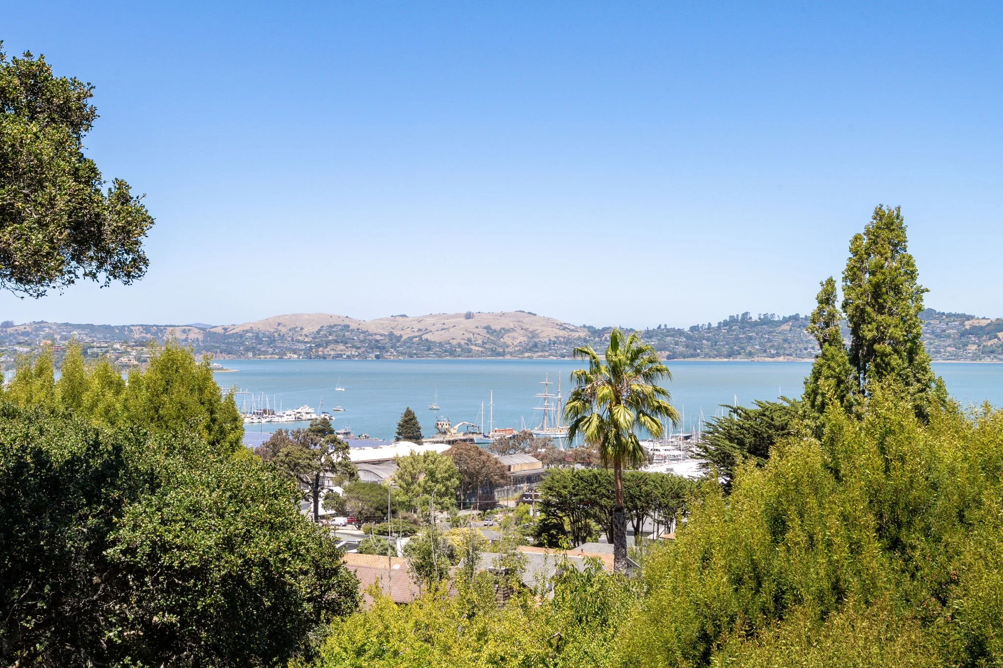 100 Woodward Ave, Sausalito For Sale by Michael Milano & Whitney Potter | Own Marin | Marin County Top Realtors | Marin County's #1 Real Estate Team9.jpg