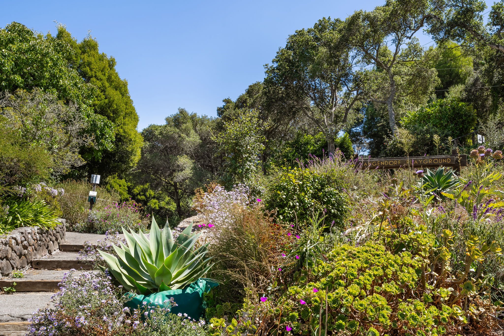 100 Woodward Ave, Sausalito For Sale by Michael Milano & Whitney Potter | Own Marin | Marin County Top Realtors | Marin County's #1 Real Estate Team43.jpg