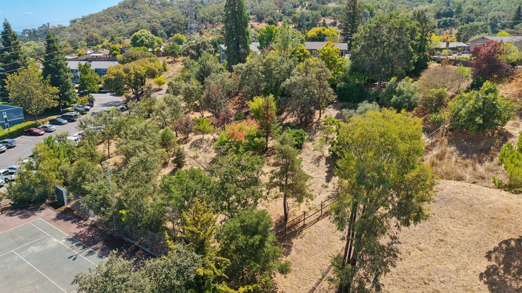 70 Corte Arriba, Novato  For Sale by Nick Svenson  Own Marin  Marin County Top Realtors  Marin County's #1 Real Estate Team (15).jpg