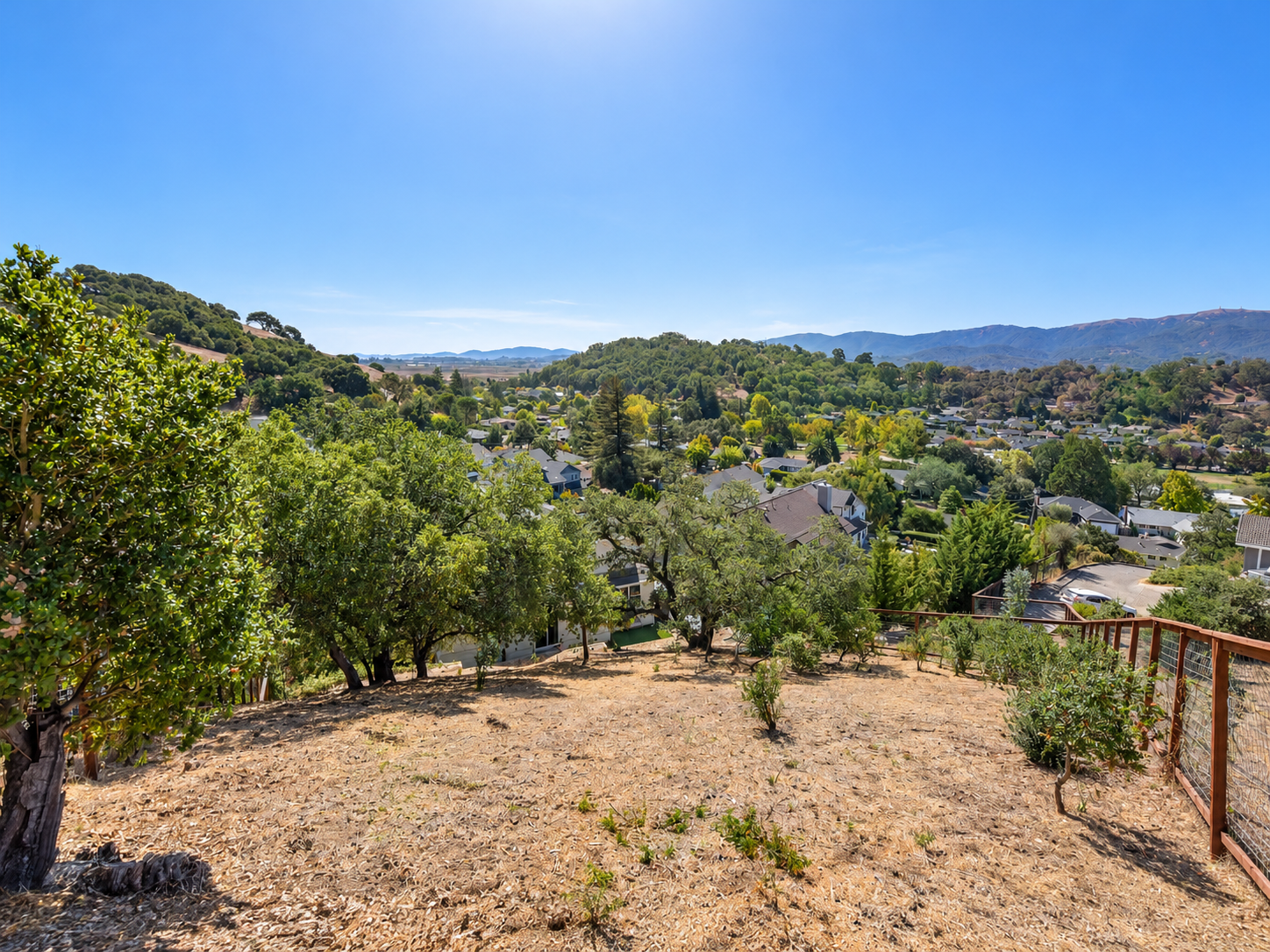 11 Zandra Place, Novato  For Sale by Michael Milano  Own Marin  Marin County Top Realtors  Marin County's #1 Real Estate Team (42).png