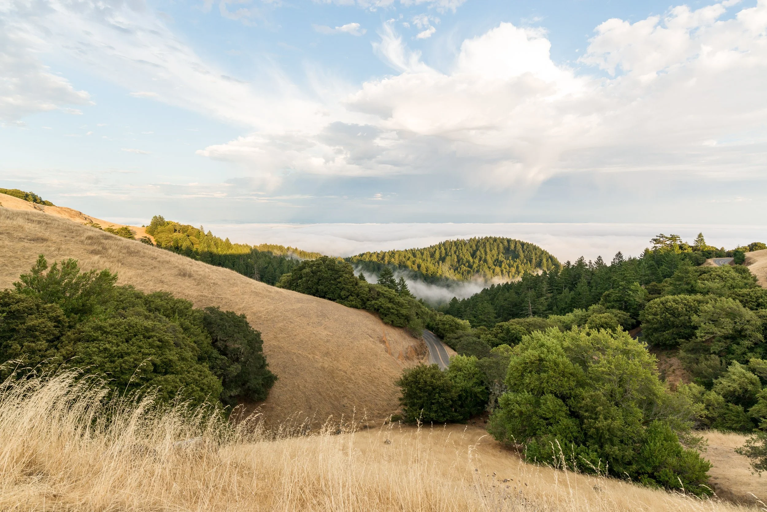BOLINAS RIDGE-1.jpg
