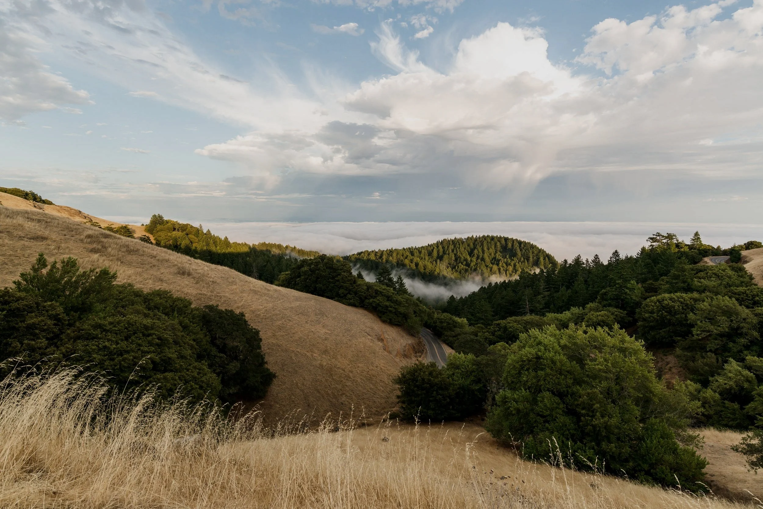 BOLINAS+RIDGE-1.jpg