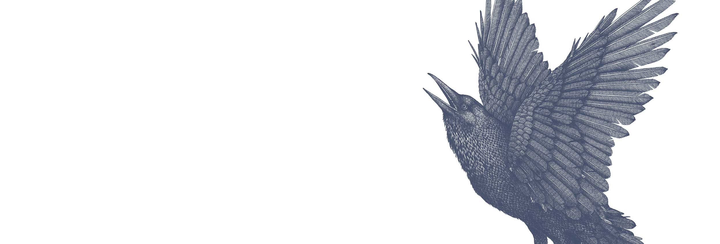 Aya_web_animBird.jpg
