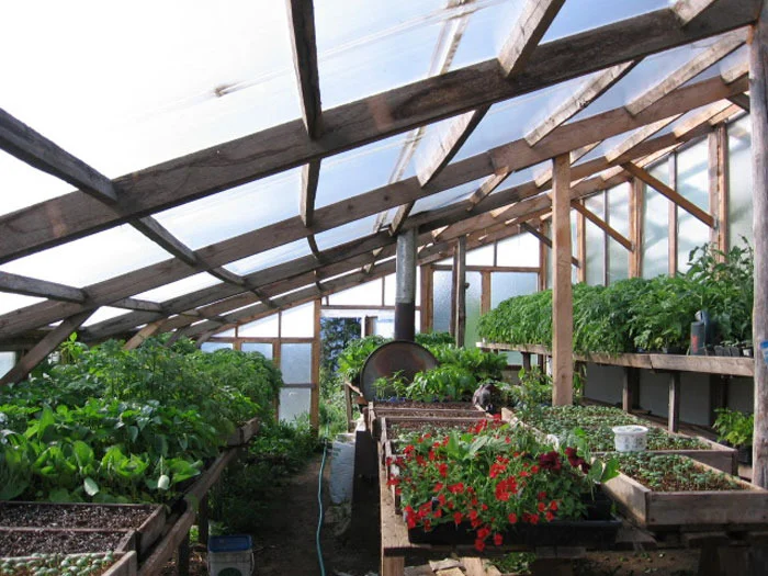 inside greenhouse