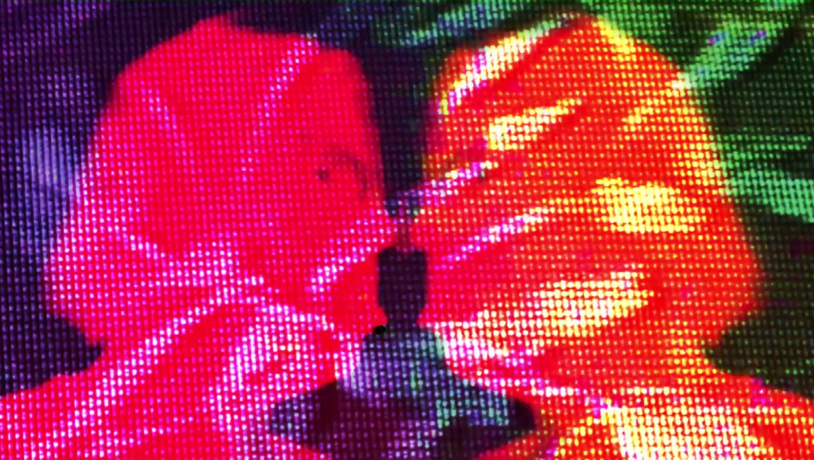 Screens at El Rio