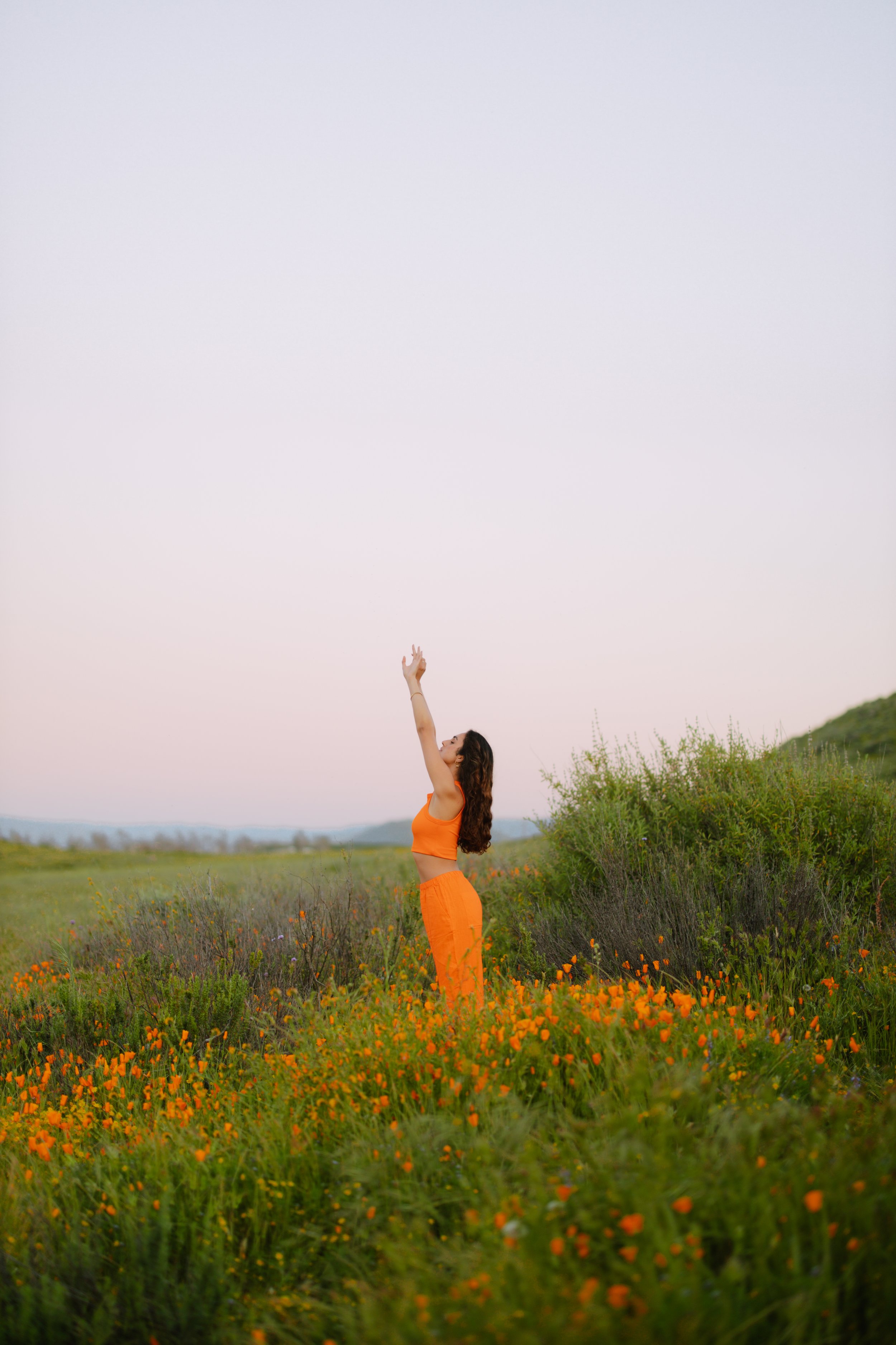 superbloom-200.jpg