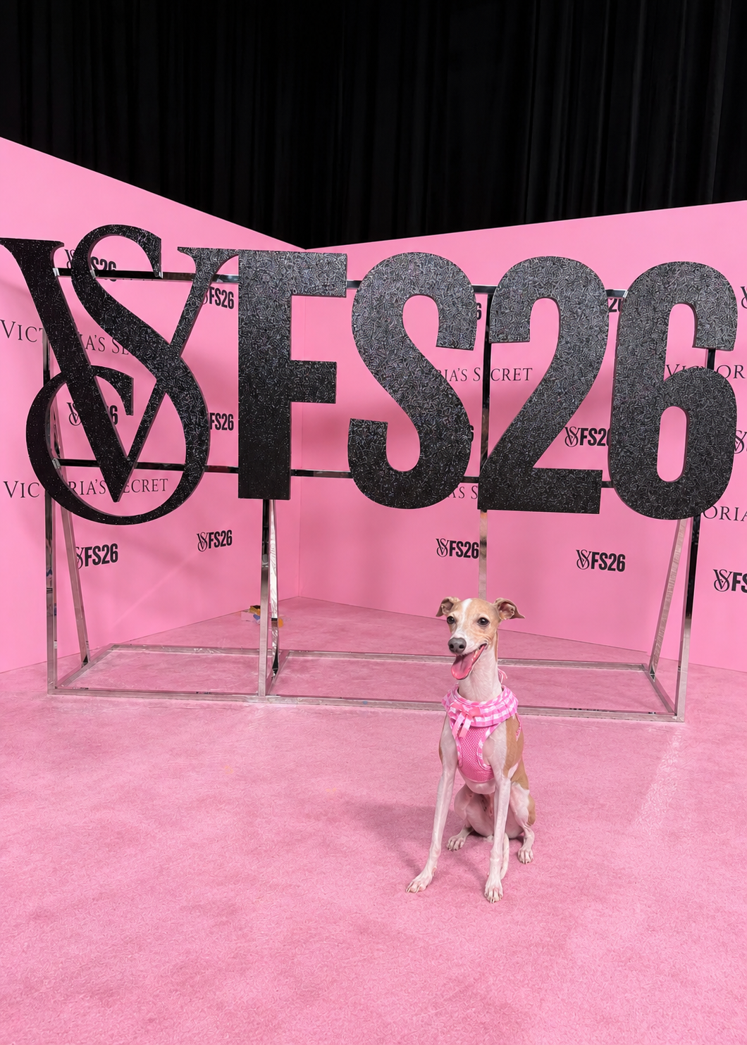 IMG_4051.PNG