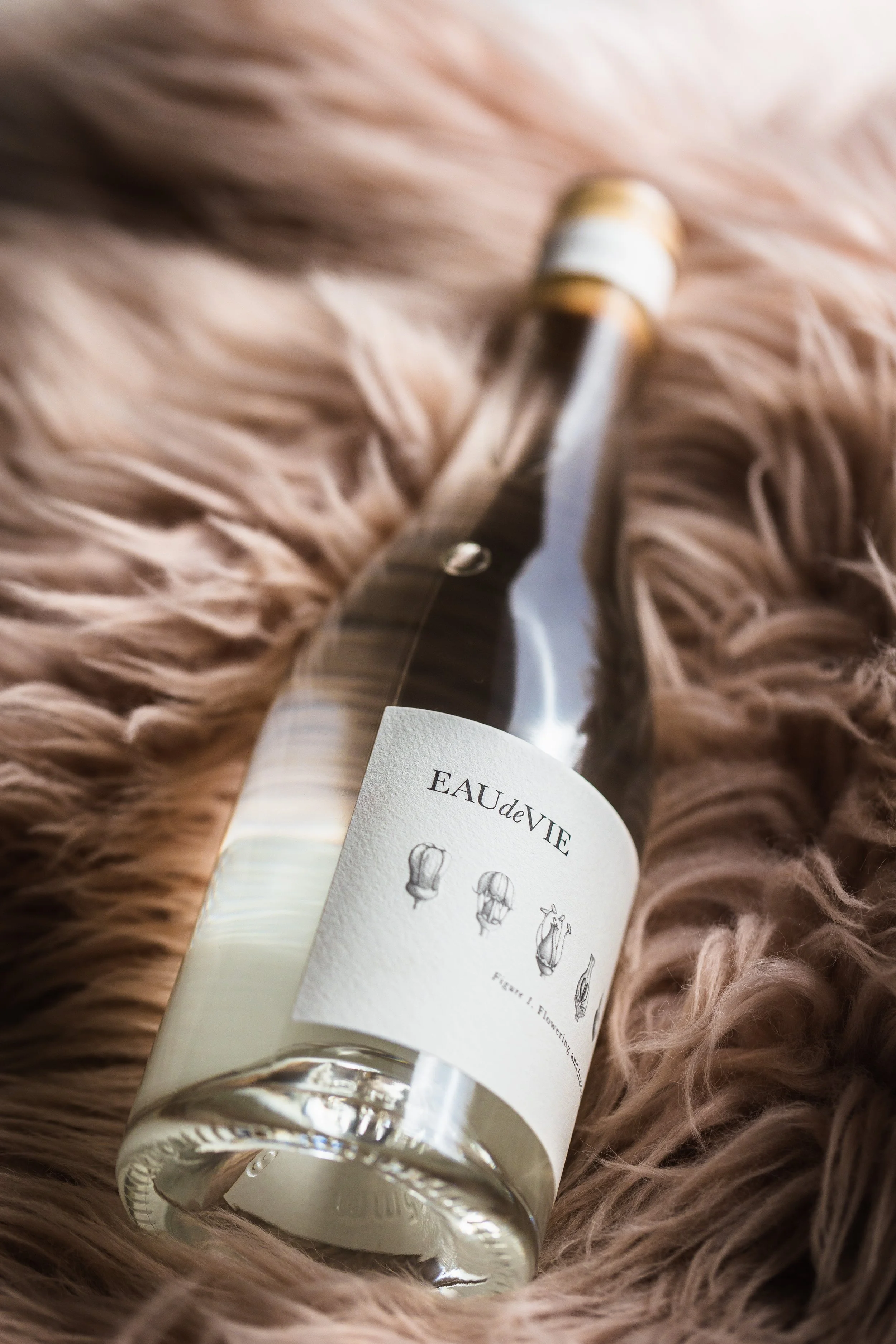 Eau de Vie A.Kowalewski 2.jpg