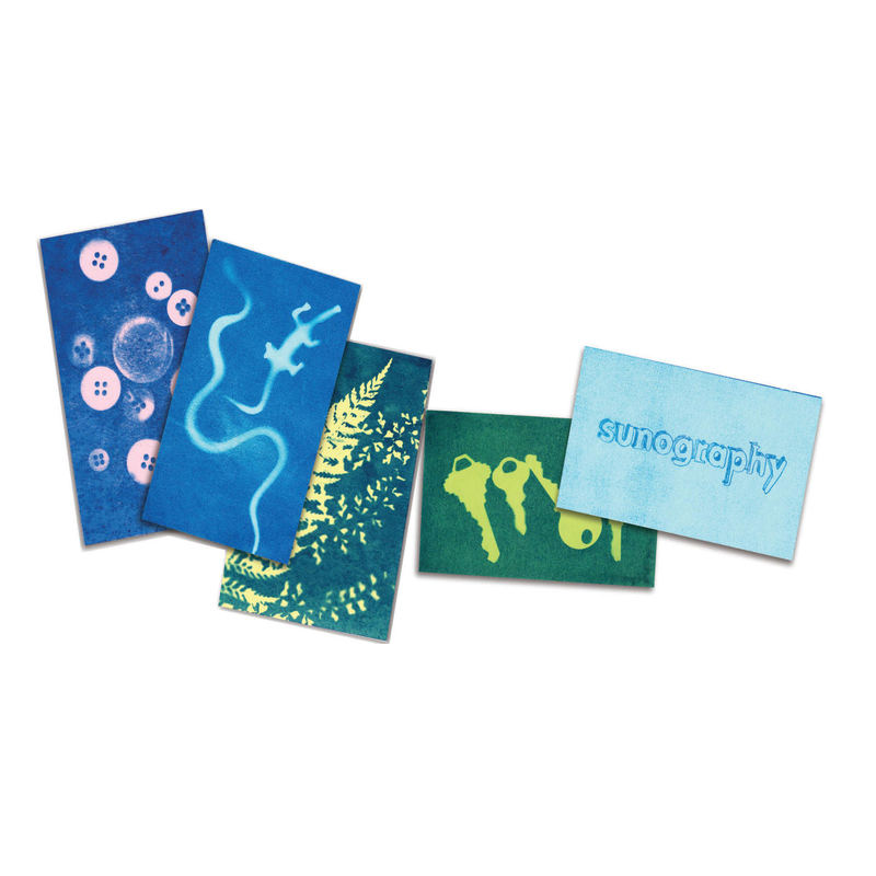sunography cards with art.png