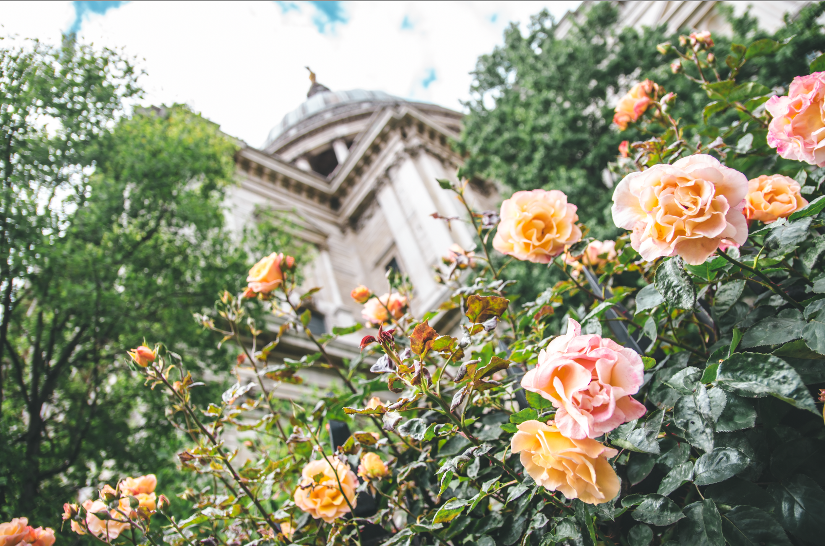 St. Paul's Cathedral, London