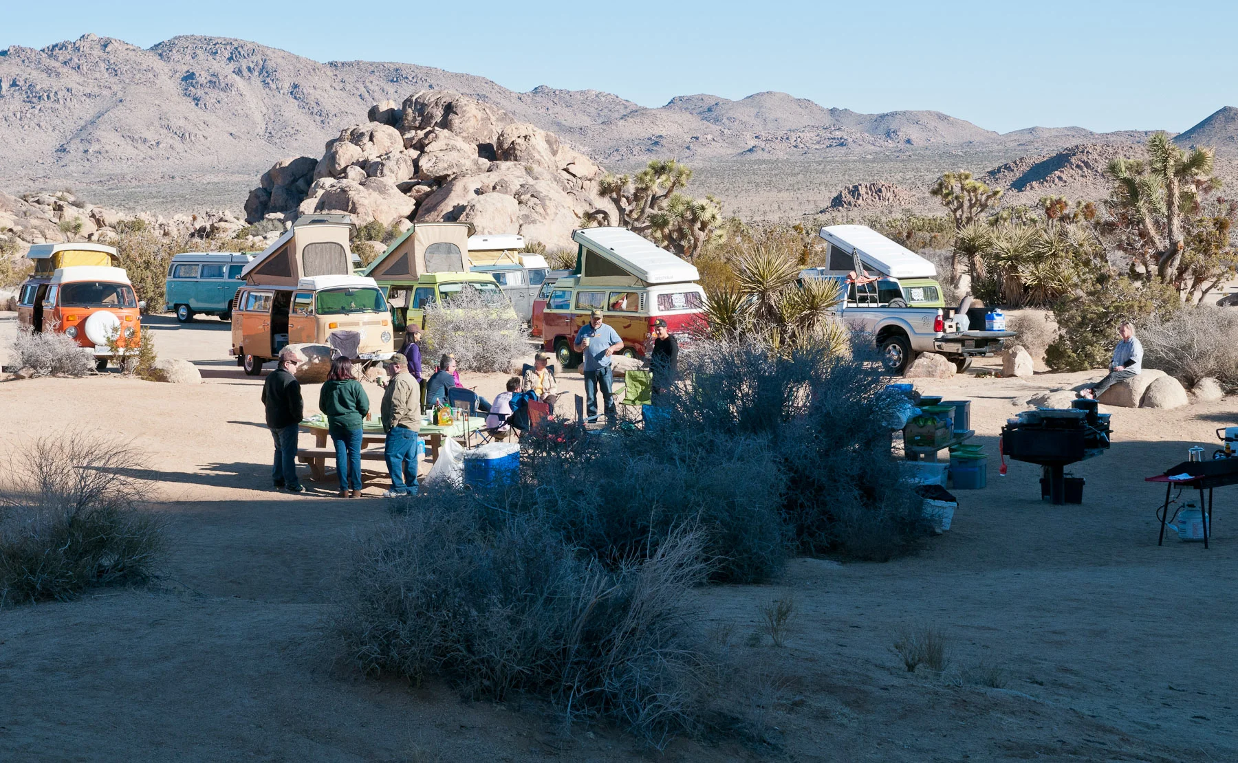 DSC_0590.jpg