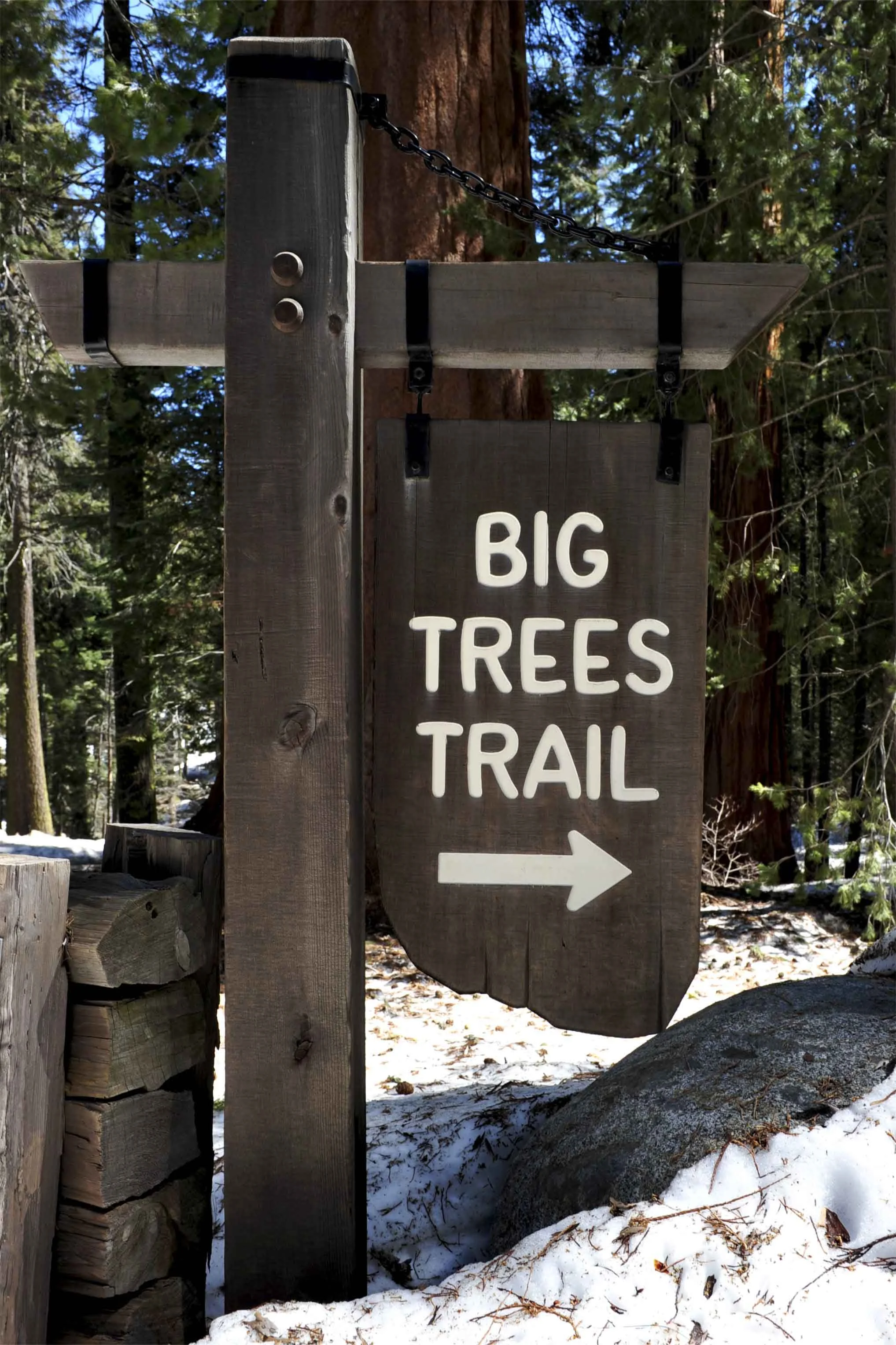 bigtreestrail.jpg