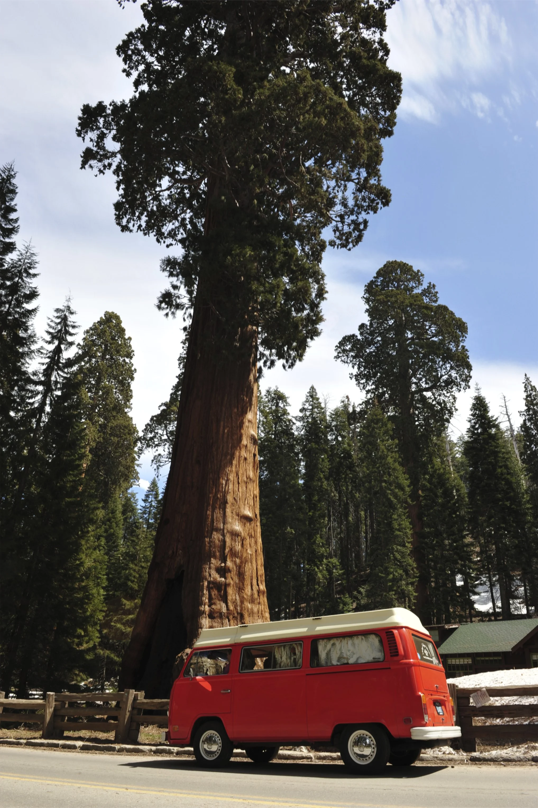 YOURROADTRIPS_yosemite2.jpg
