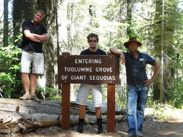YOURROADTRIPS_yosemite5.jpg