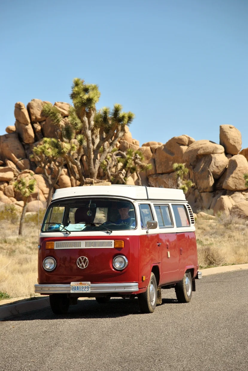 YOURROADTRIPS_joshuatree4.JPG