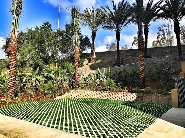 Brand new #syntheticturf turf block and #palmtree install in #downtownla #dtla #fslps #landscape #waterwise #droughttolerant #downtown #urbanlandscape #landscapedesign