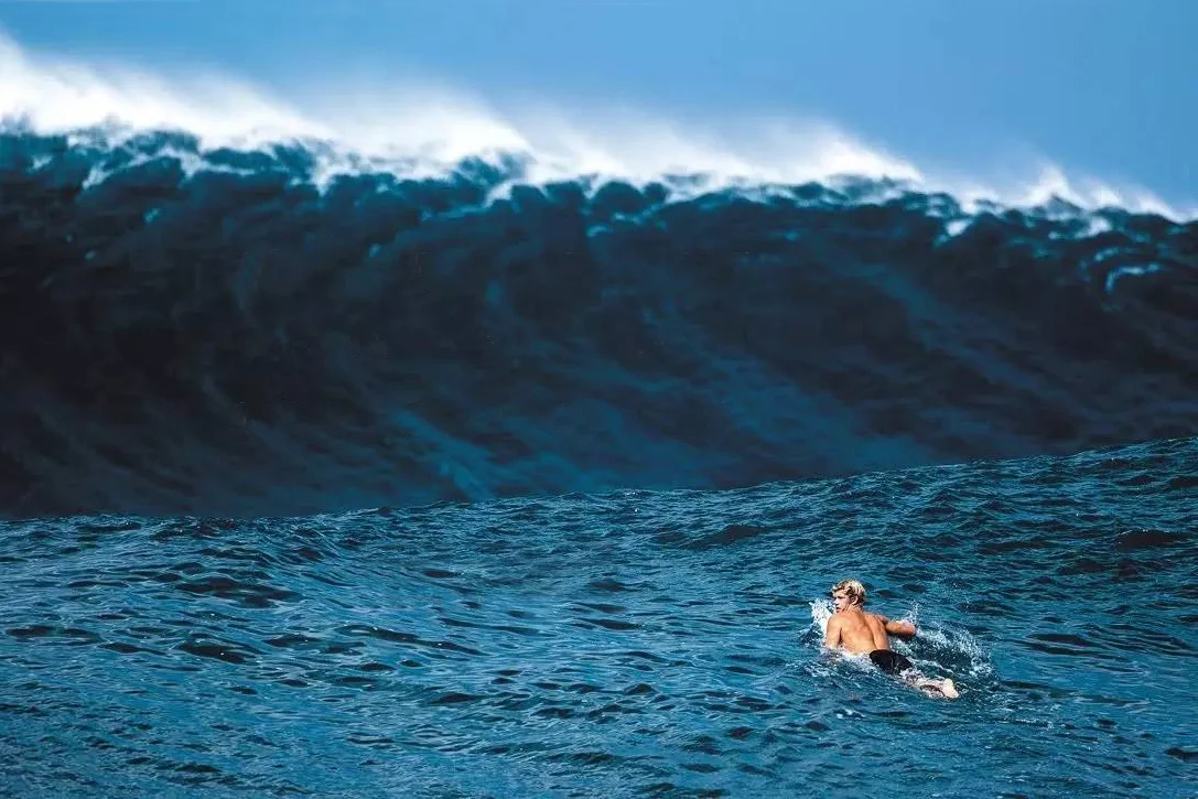 Best-Surf-Movies-V1.jpg