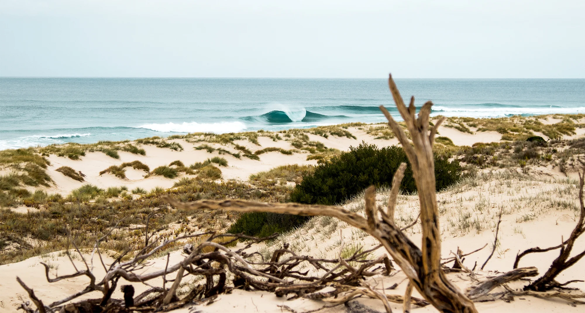 king-island-1.jpg