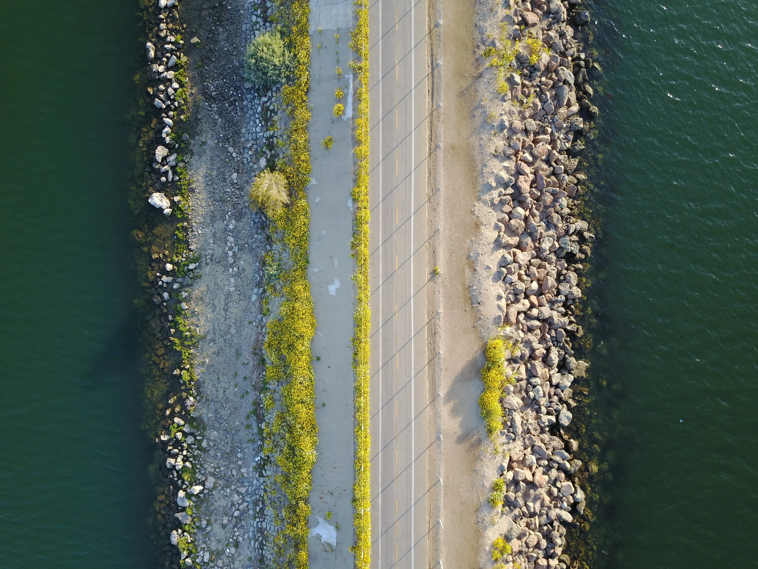 DJI_0005.JPG