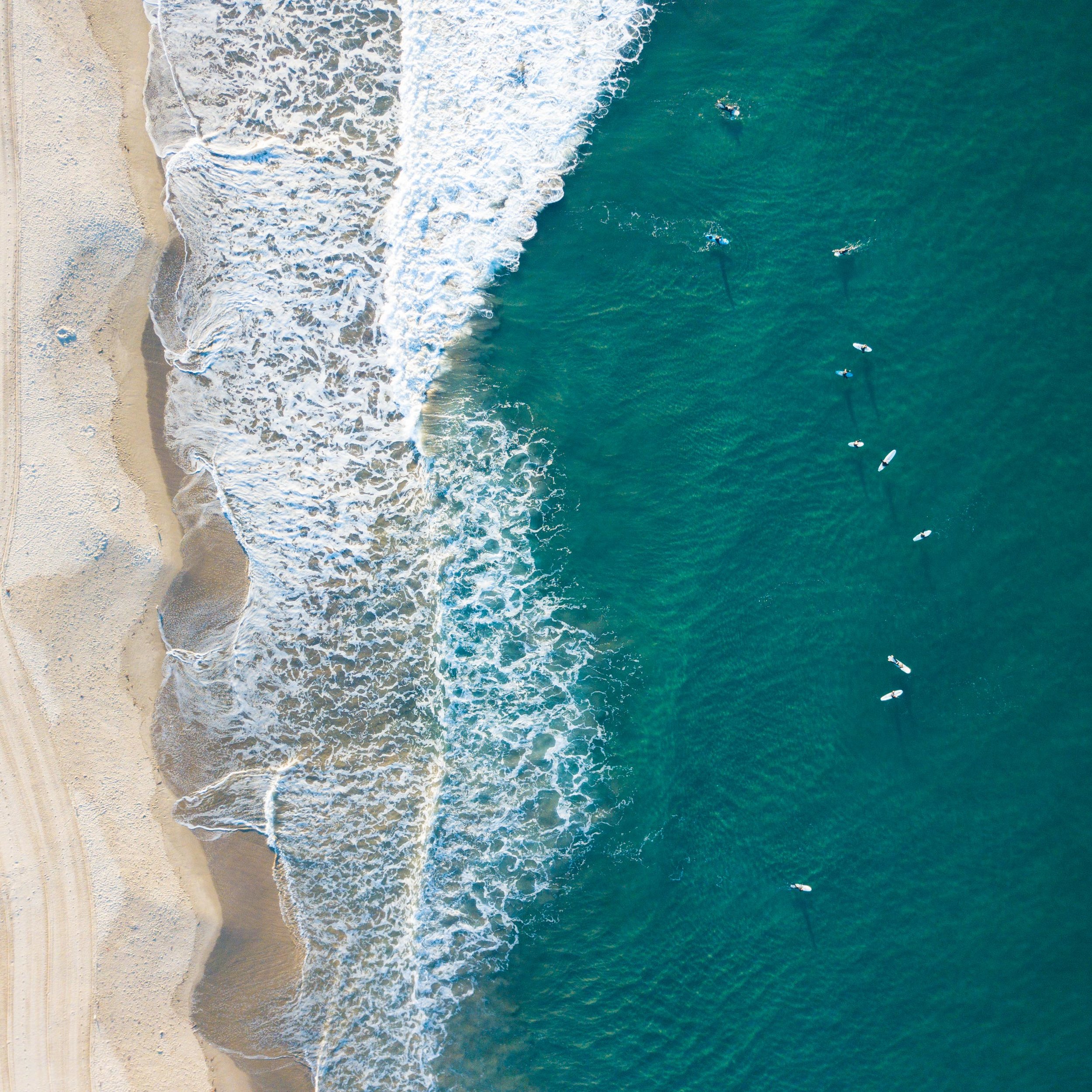 Surf1.jpg