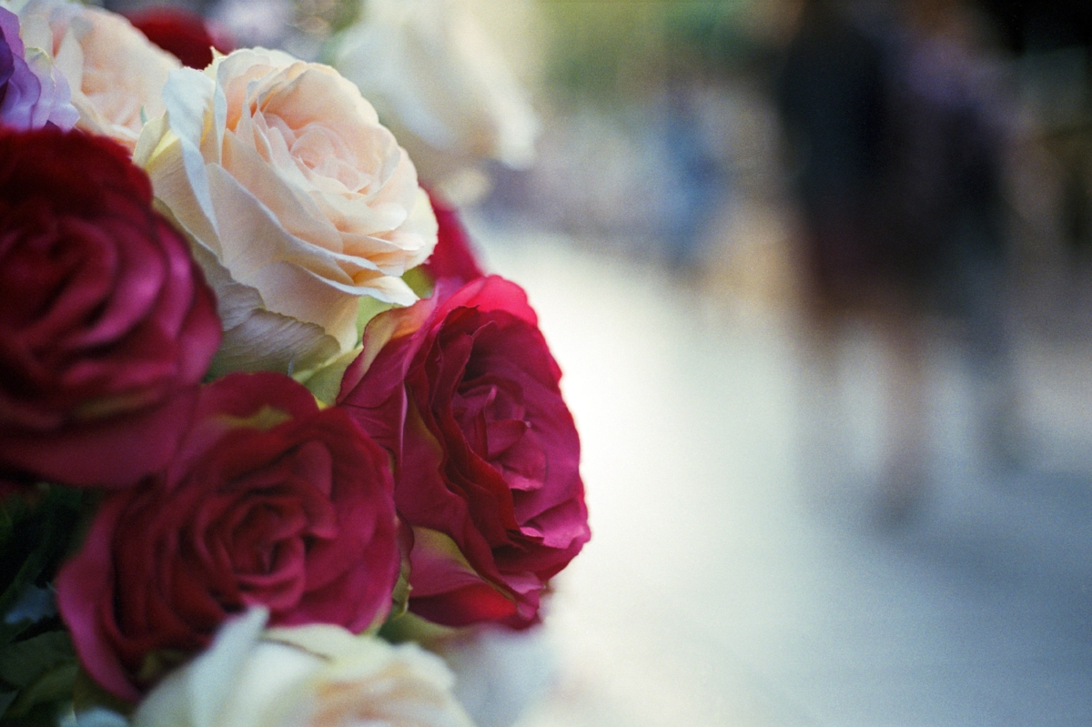 Ben Yehuda Flowers - Nikon FM - Kodak Portra 160