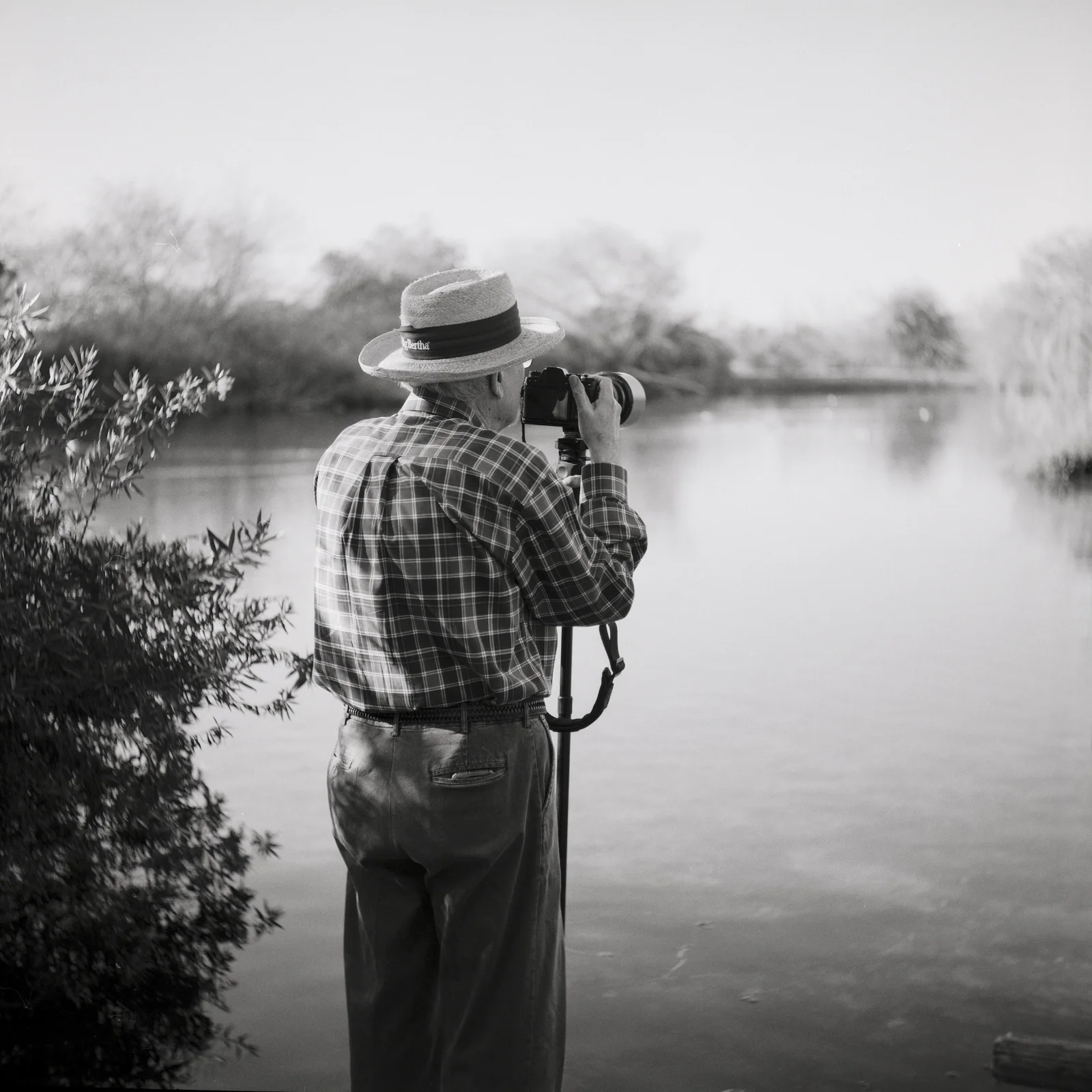 The Birdwatcher - Yashica C - Ilford Pan F at 25 ASA