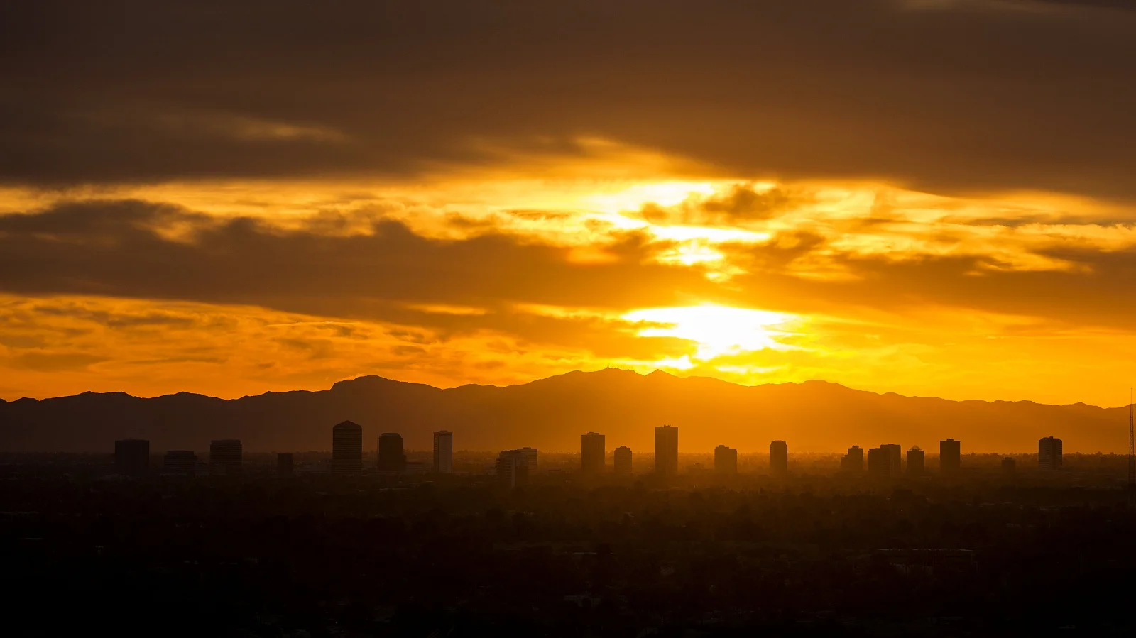 Phoenix
