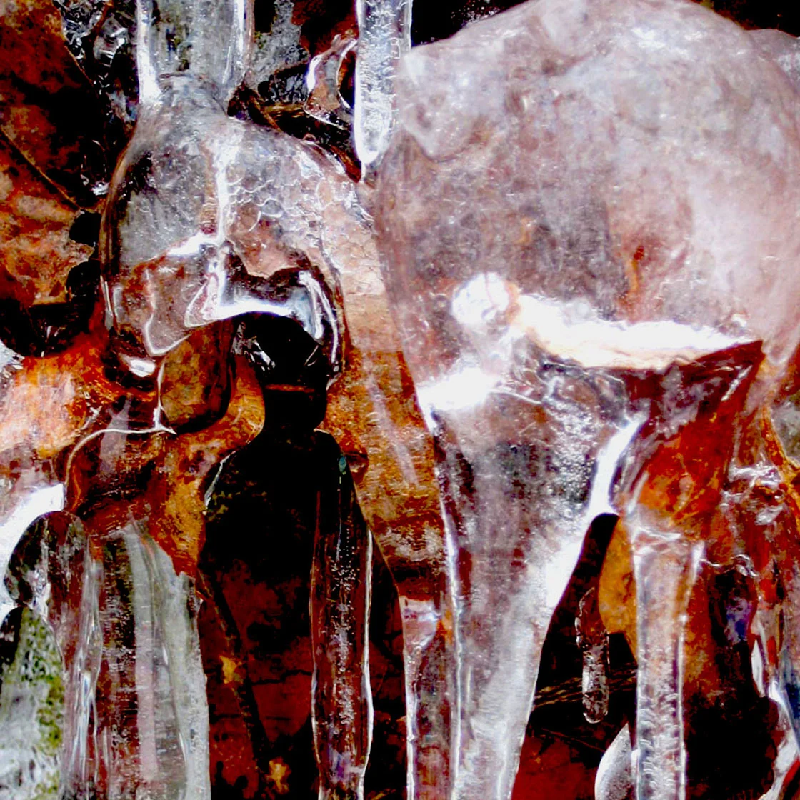 Frozen H2O