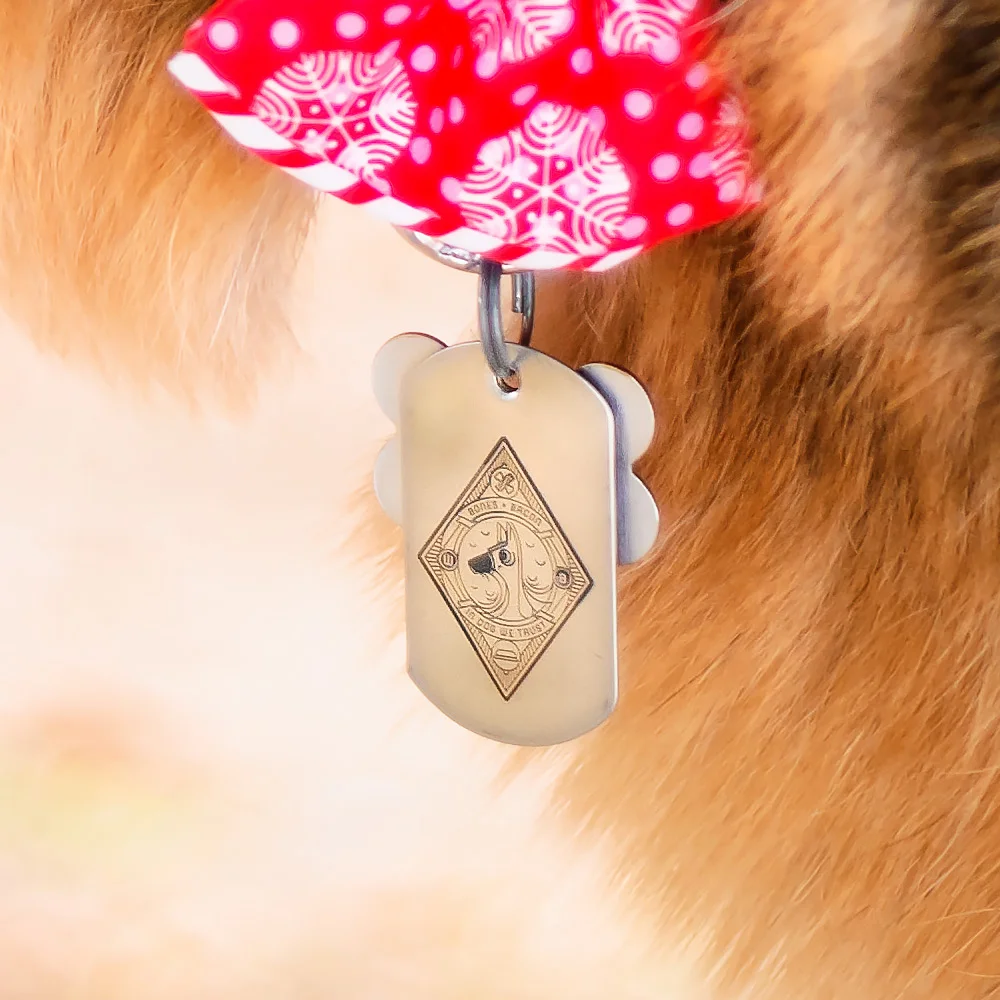 Product-Shot-v1-4.jpg