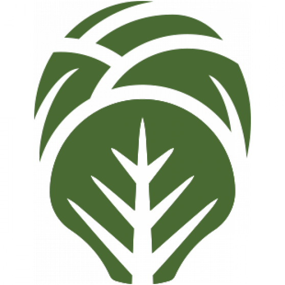 Brussel-Sprout-Icon.png