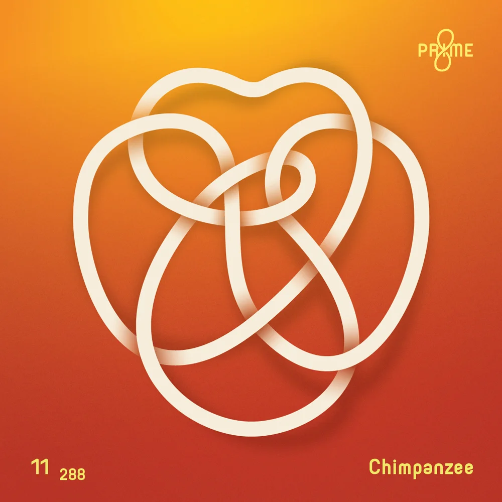 Chimpanzee-Knot-2x.jpg