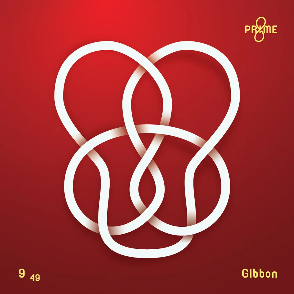 Gibbon-Knot-2x.jpg