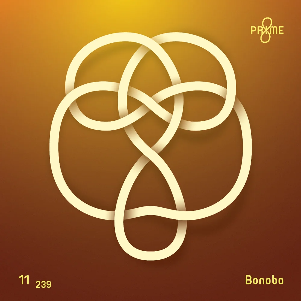 Bonobo-Knot-2x.jpg