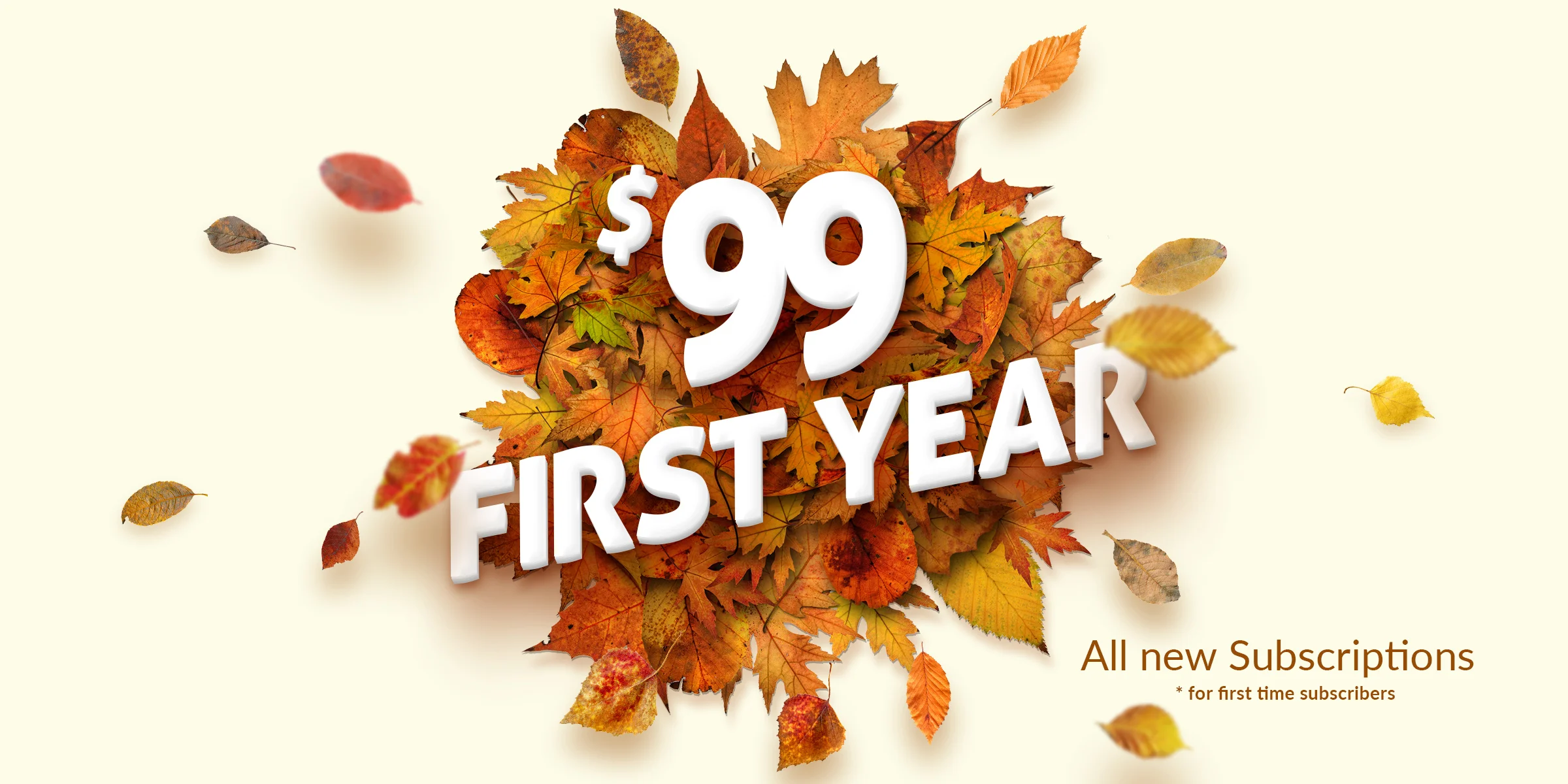 SignUpGenius-Promos-Leaves.jpg