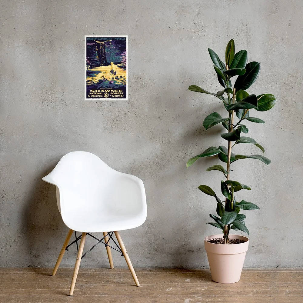 enhanced-matte-paper-poster-(in)-12x18-lifestyle-1-63dabefa589fb.jpg