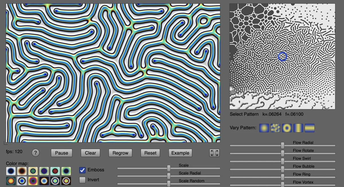Reaction diffusion model live simulation
