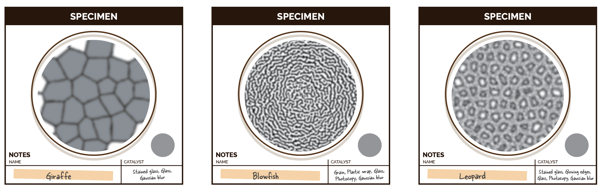 Turing pattern specimen trays with several blur effects