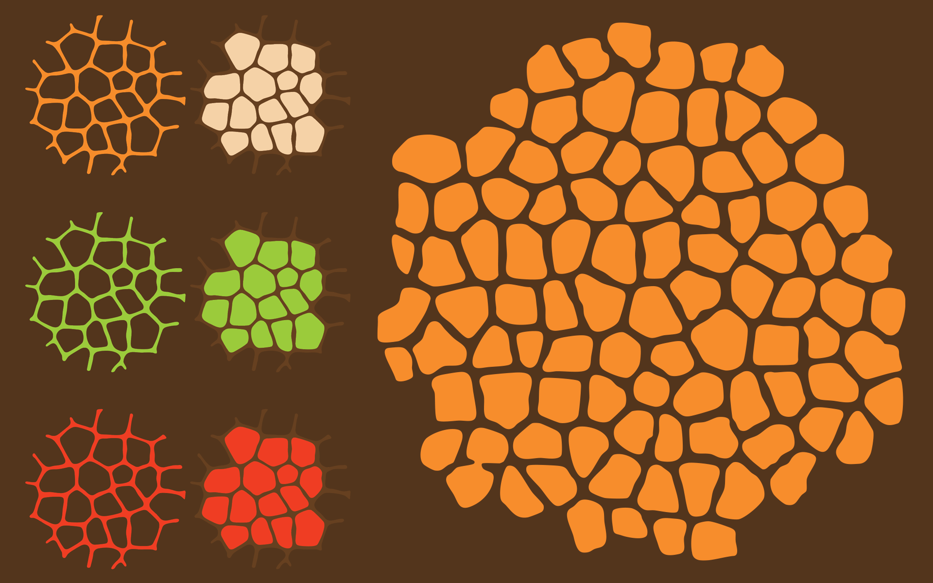Turing giraffe pattern at various sizes and colors