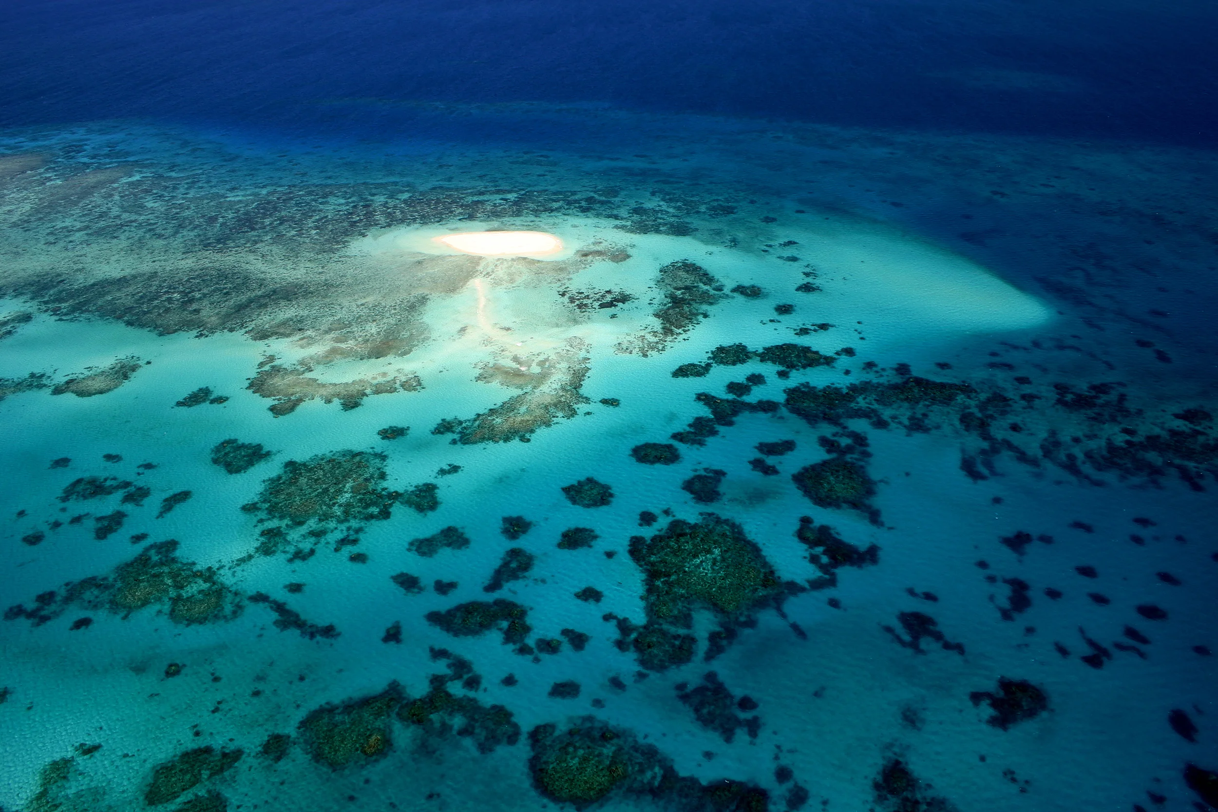 great-barrier-reef-5-1399760.jpg