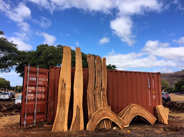 Just a few of the gorgeous slabs of Monkeypod and Mango...