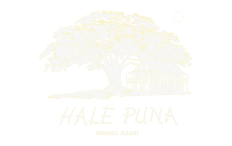 HALE PUNA