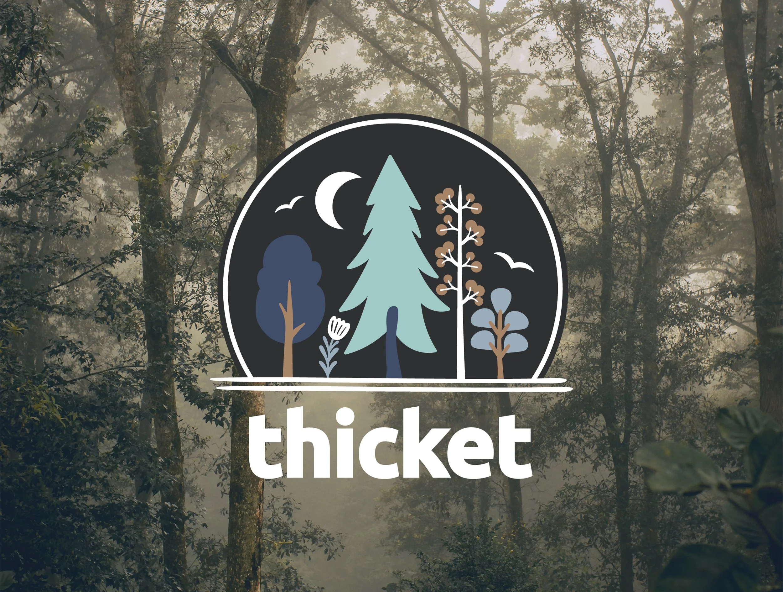 Thicket_feature_3col.jpg