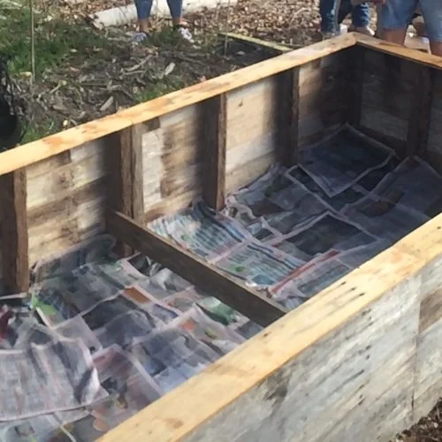 Step 1: damp newspaper as a 1st layer to stop the weeds coming through.