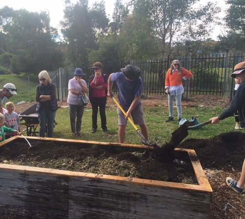 Step 6: Next up, layers of horse manure, lawn-clippings, shredded paper (No shiny stuff!), worm-rich matter from the worm-farm and finally a layer of good quality compost/garden soil. We kept the hose running the whole time to get plenty of moisture in there
